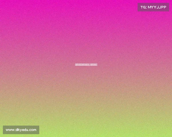 荷兰国际赛事海报大赛,荷兰锦标赛